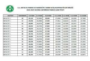 ANTBİRLİK 2024/2025 pamuk alım fiyatını açıkladı