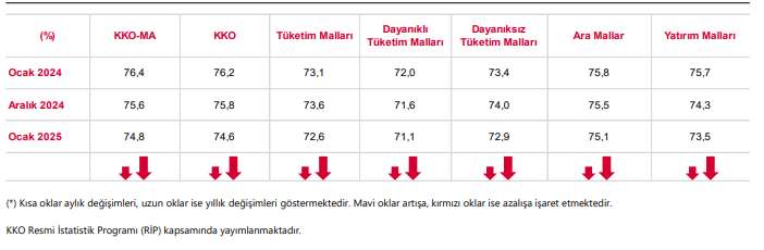 Kapasite Kullanım Oranı