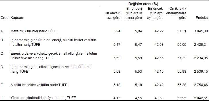 Özel kapsamlı TÜFE göstergeleri