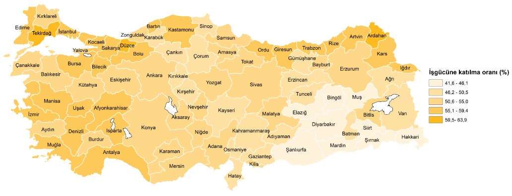 İşgücüne katılım oranı illere göre dağılımı