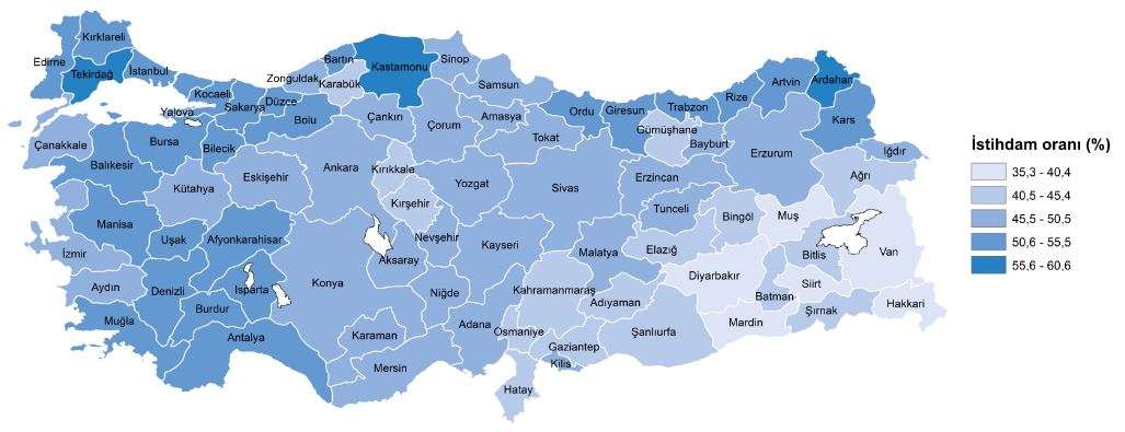 İstihdam oranı illere göre dağılımı