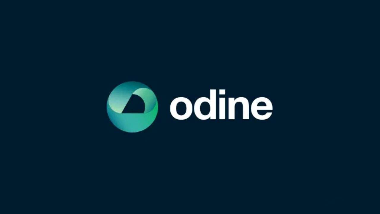 Odine: Yönetim kurulu üyelerinin tutuklanmasına rağmen faaliyetler kesintisiz sürüyor