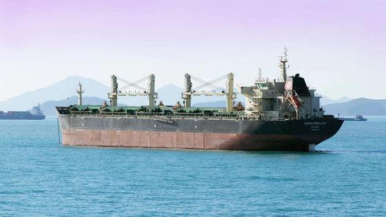 Rusya, Çornomorsk Limanı'nda iki yük gemisini vurduğunu açıkladı