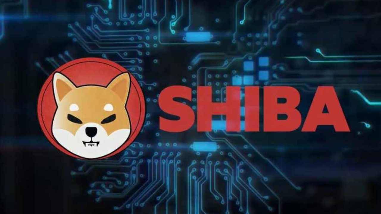 PİYASAYA BAKIŞ-Kriptopara Shiba'nın değeri rekor seviyeye yükseldi