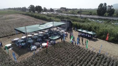 Hektaş’ın yeni pamuk tohumu Egeli çiftçilere tanıtıldı