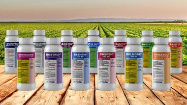 Hektaş, bağlı ortaklığı Ferbis'in halka arzı için SPK'ya başvurma kararı aldı