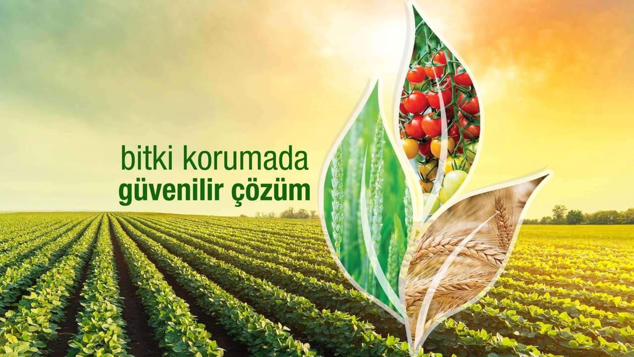 Gübre Fabrikaları iştiraki Tarkim, halka arz için lider aracı kurumları belirledi