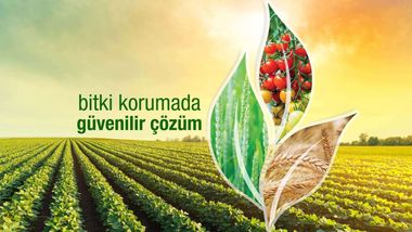 Gübre Fabrikaları iştiraki Tarkim, halka arz için lider aracı kurumları belirledi