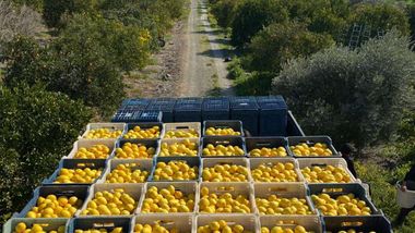 Şok Marketler/Demirel: Yerel üreticilerimizi korumak üzere çalışıyoruz