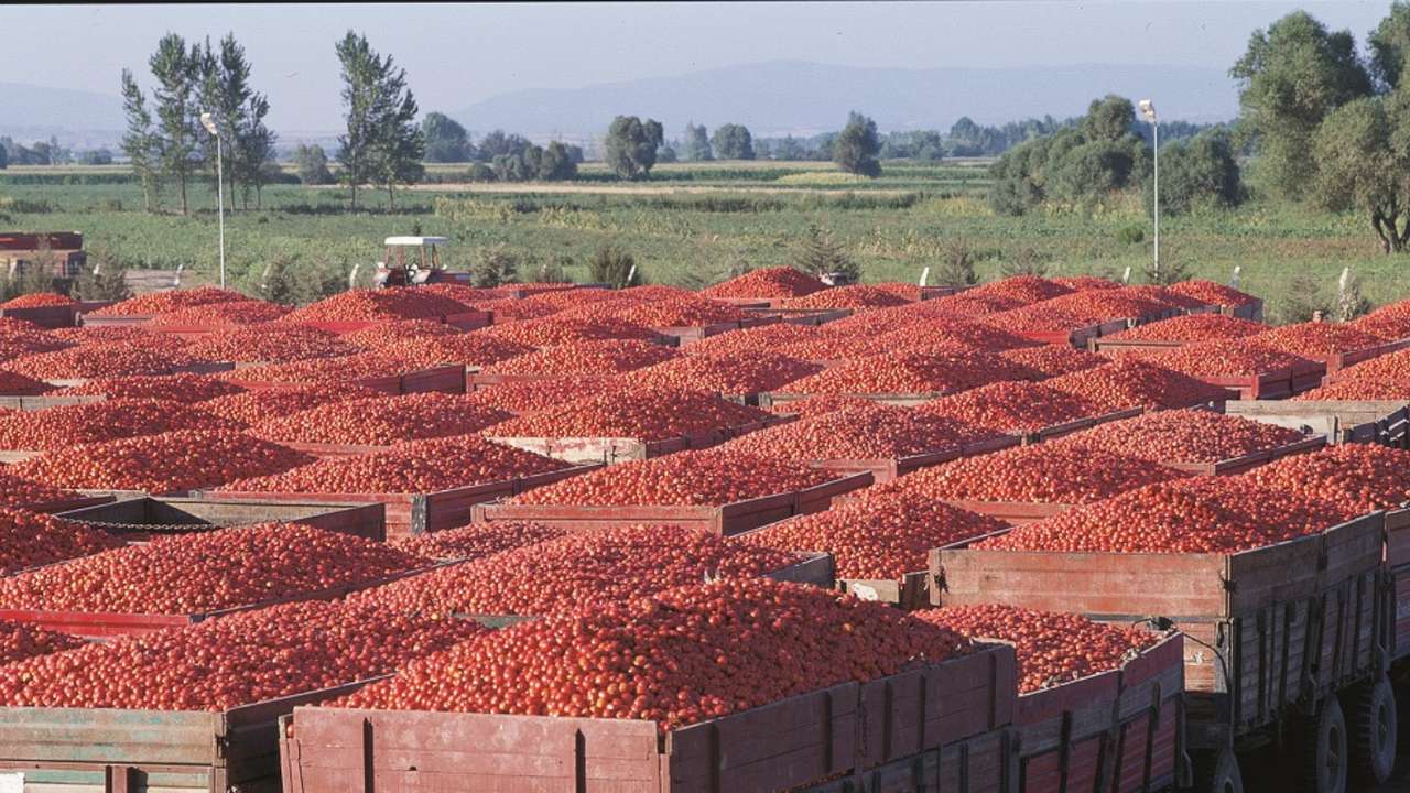 Merko Gıda'nın, özel hesap döneminin ilk 6 ayında konsolide net karı 62,6 milyon TL olarak gerçekleşti