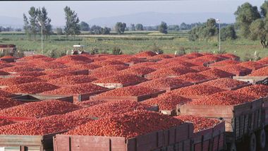 Merko Gıda'nın, özel hesap döneminin ilk 6 ayında konsolide net karı 62,6 milyon TL olarak gerçekleşti