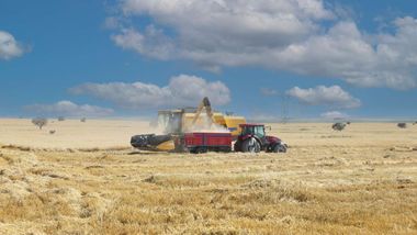 Anadolu Efes, sertifikalı arpa tohumu dağıtımını %50 artırdı