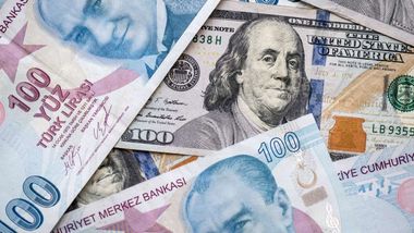 ABD doları 30 TL'yi, euro 33,10 TL'yi aştı