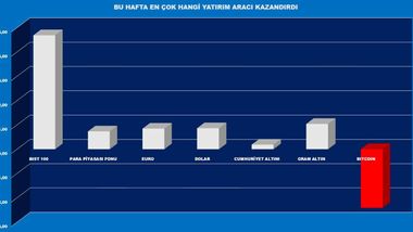 2024'ün ikinci haftasında da yatırımcısına en çok hisse senetleri kazandırdı 