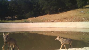 OYAK Çimento, Antalya’daki üretim sahasını yeniden doğaya kazandırıyor
