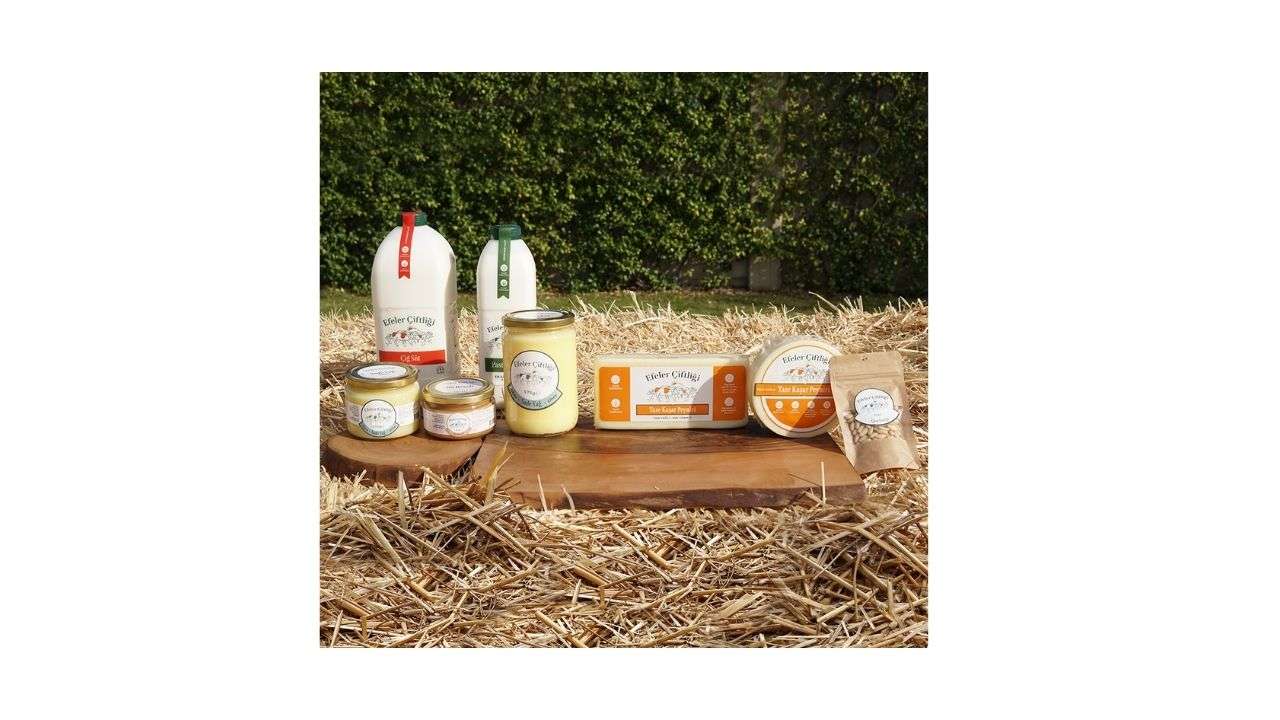 Söktaş: Efeler Çiftliği'nin 17,5 milyon dolara satışıyla ilgili nihai sözleşme hazırlanacak