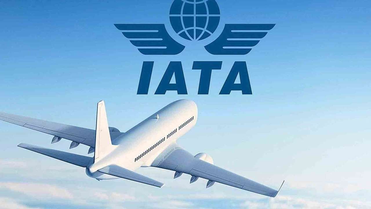 IATA: Küresel hava yolu yolcu talebi 2024'te rekor kırdı