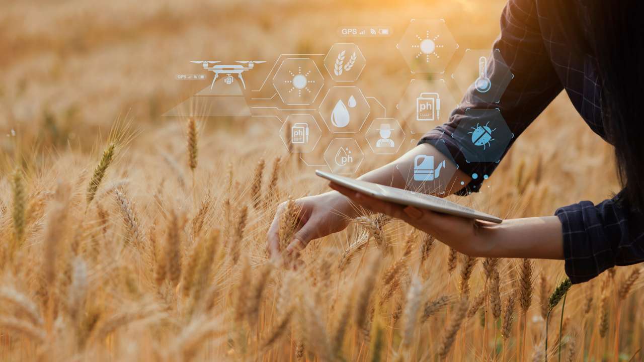 Anadolu Efes, Anadolu Meraları iş birliğiyle "Tarladan Şişeye Onarım" programını başlattı