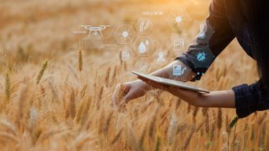 Anadolu Efes, Anadolu Meraları iş birliğiyle "Tarladan Şişeye Onarım" programını başlattı