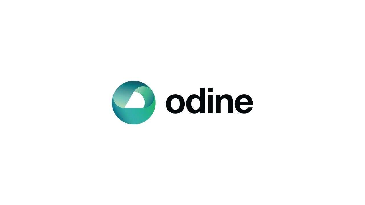 Odine’in FAVÖK’ü son 12 ayda % 64 arttı