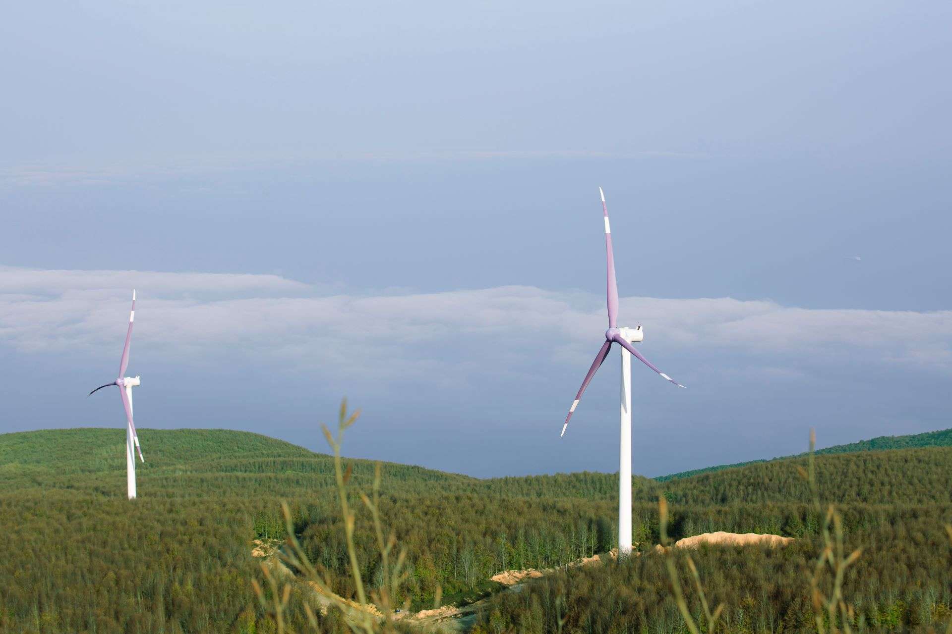 Aydem Enerji'ye ait Uşak RES'in kapasitesi arttı