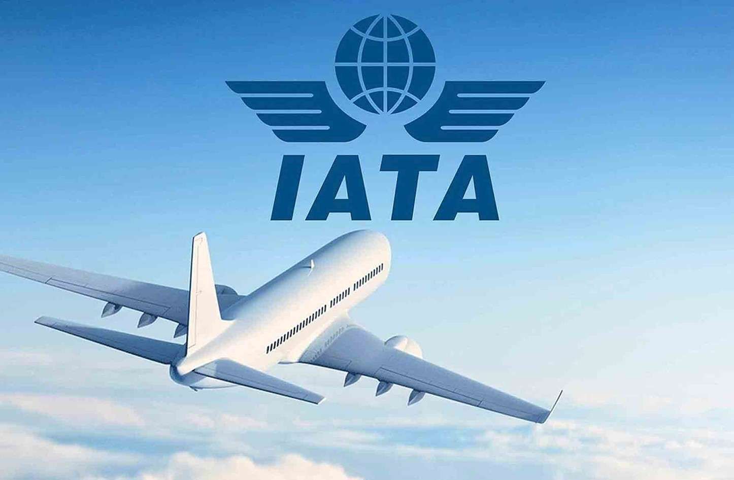 IATA: Küresel yolcu talebinde büyüme yavaşladı