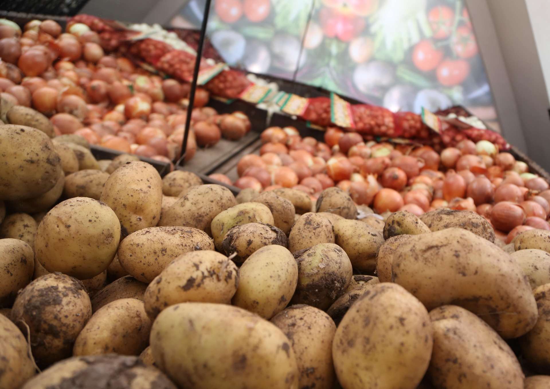 Tarımda üretici fiyatları Kasım ayında geriledi