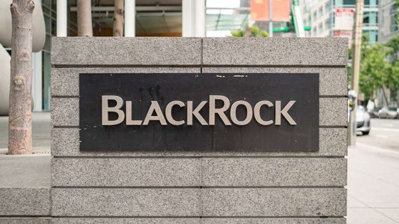 BlackRock’ın en iyi performans gösteren fonlarından biri portföyünün %10'unu Türk hisselerine ayırdı