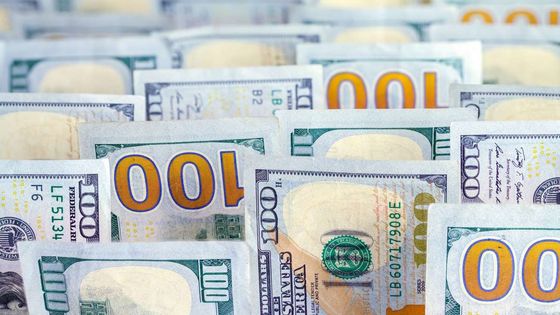 Brüt döviz rezervi %4,9 azaldı