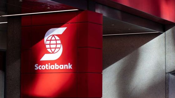 Scotiabank: Altın rallisi henüz sona ermedi