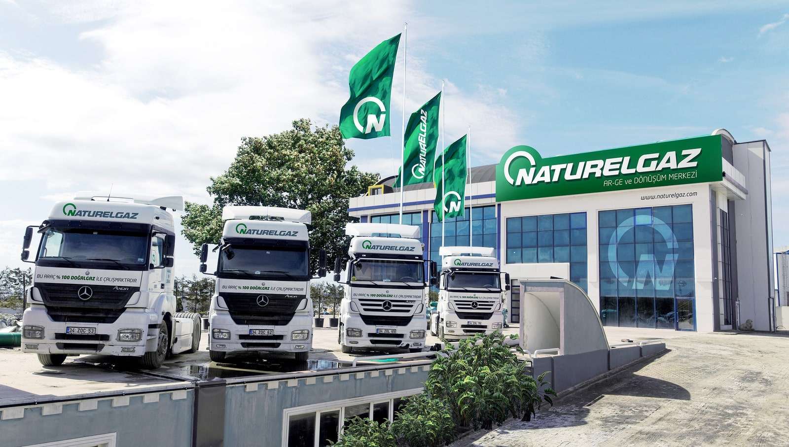 Naturelgaz 600 milyon TL nakit kar payı dağıtacak