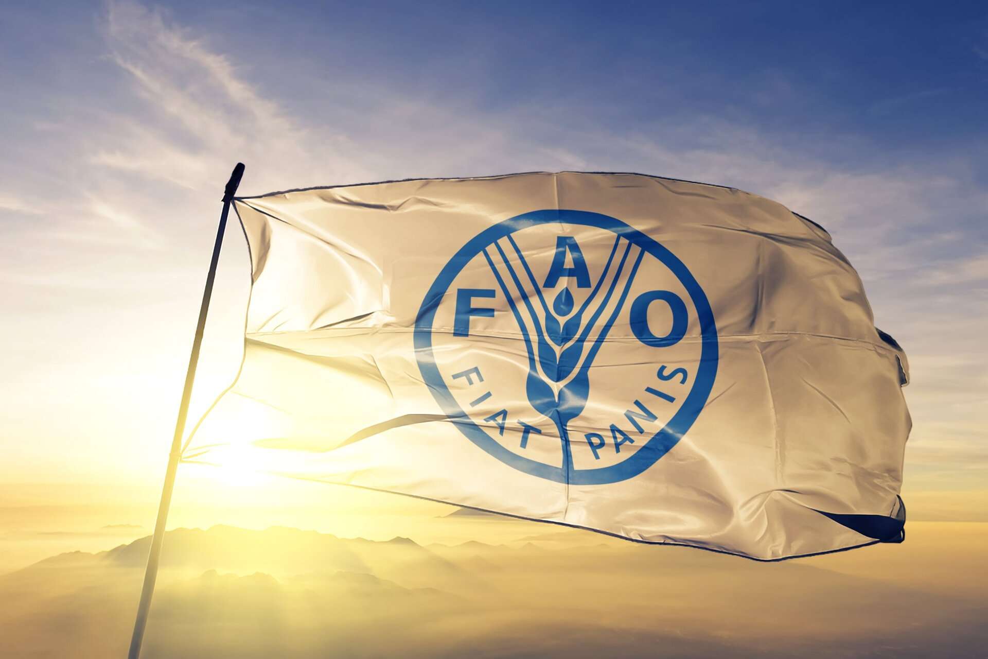 FAO: Hürmüz Boğazı'ndaki tıkanıklık küresel gıda krizini tetikleyebilir