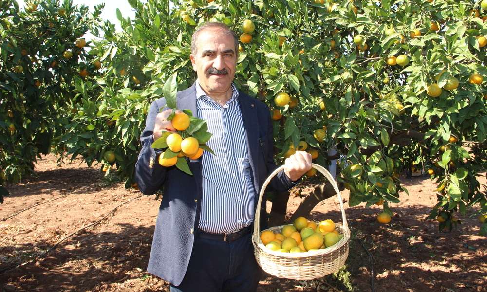 Yaş meyve sebze ihracatında ilk çeyrekte 1 milyar dolar aşıldı