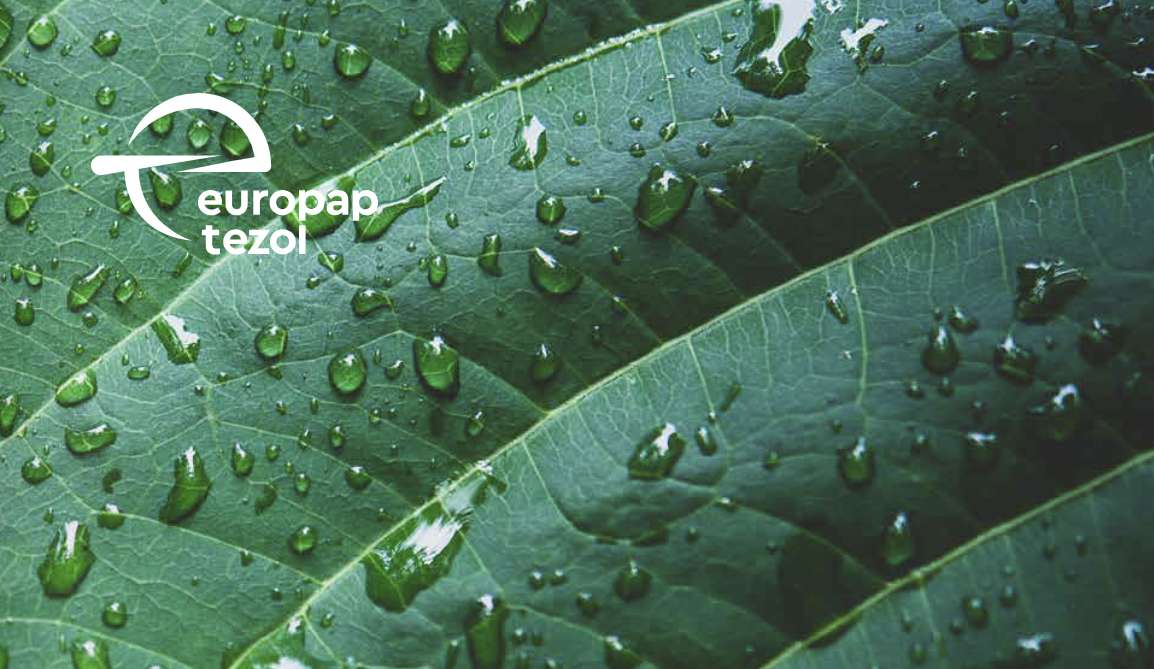 Europap Tezol Kağıt pay başına 0,45 brüt nakit temettü dağıtacak