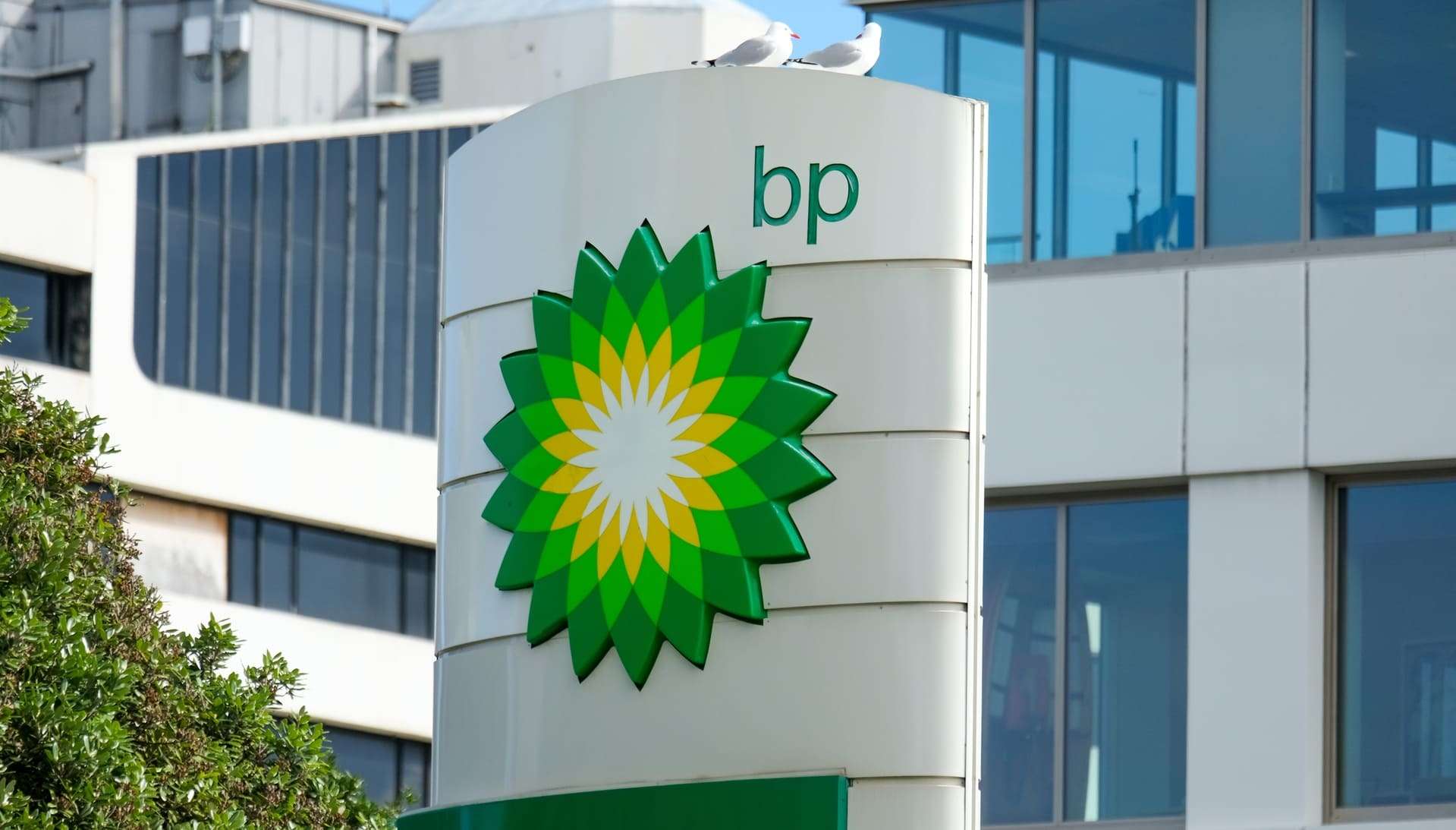 BP'de CEO arayışı sonlandırıldı: Koltuğa geçici oturan isim kalıcı oldu