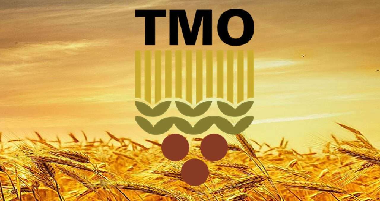 TMO çeltik alım fiyatlarını açıkladı: Baldo 45 bin, Osmancık 38 bin TL