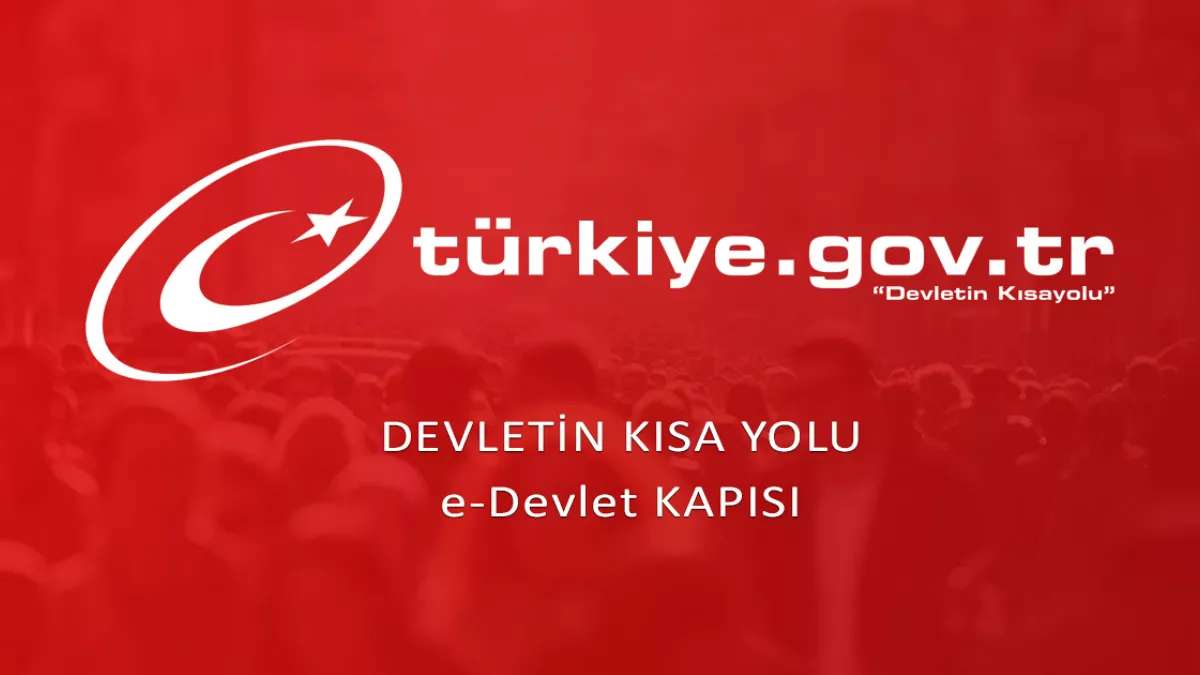 Engelli araç ithalinde randevu sistemi e-Devlet üzerinden uygulanacak