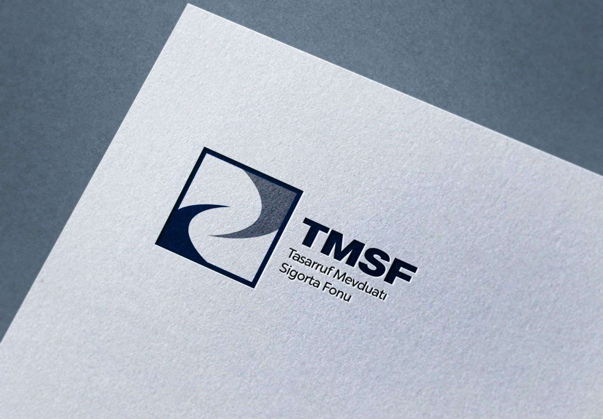 Tera Yatırım Teknoloji Holding'e TMSF kayyım olarak atandı: Yeni yönetim belirlendi