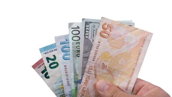 TL'nin reel değerinde gerileme: Euro ve dolar güç topladı