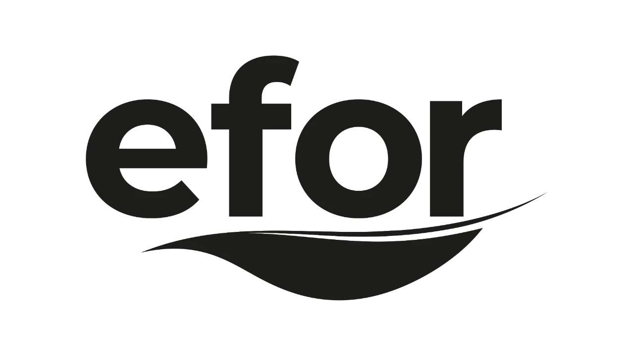Efor Holding'den Efor Yatırım paylarında 6 ay satış yapmama taahhüdü