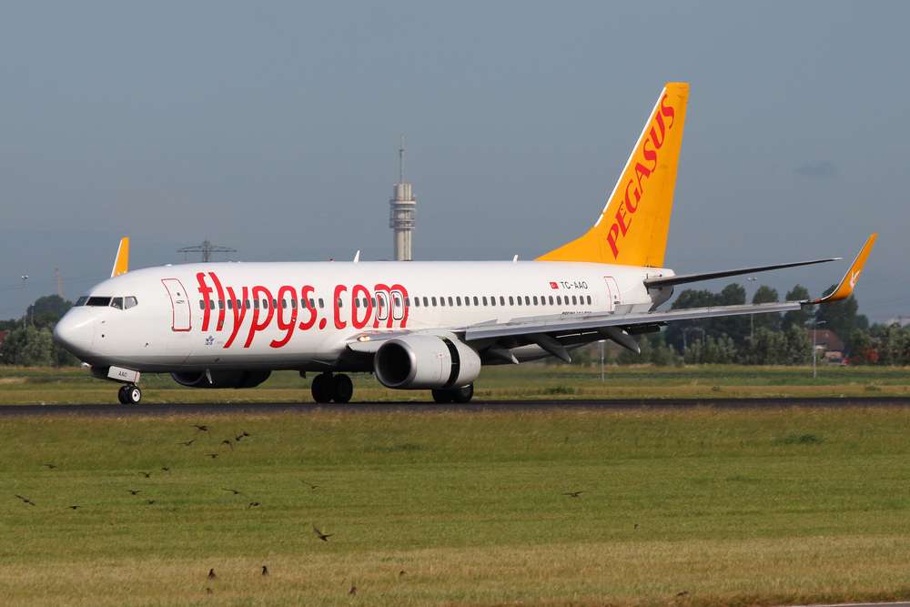 Pegasus’un yolcu sayısı temmuzda yüzde 8 arttı