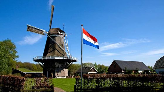 Hollanda'da kamuda çalışan sayısı azaltılacak: Hedef 3,5 milyar euro tasarruf