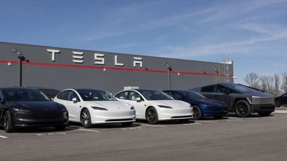 Çin'de elektrikli araç satışları yüzde 12 arttı, Tesla 95 bin aracı aştı