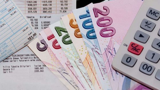 ING Global Türkiye'de yıllık enflasyonun %30'a indiğini öngördü