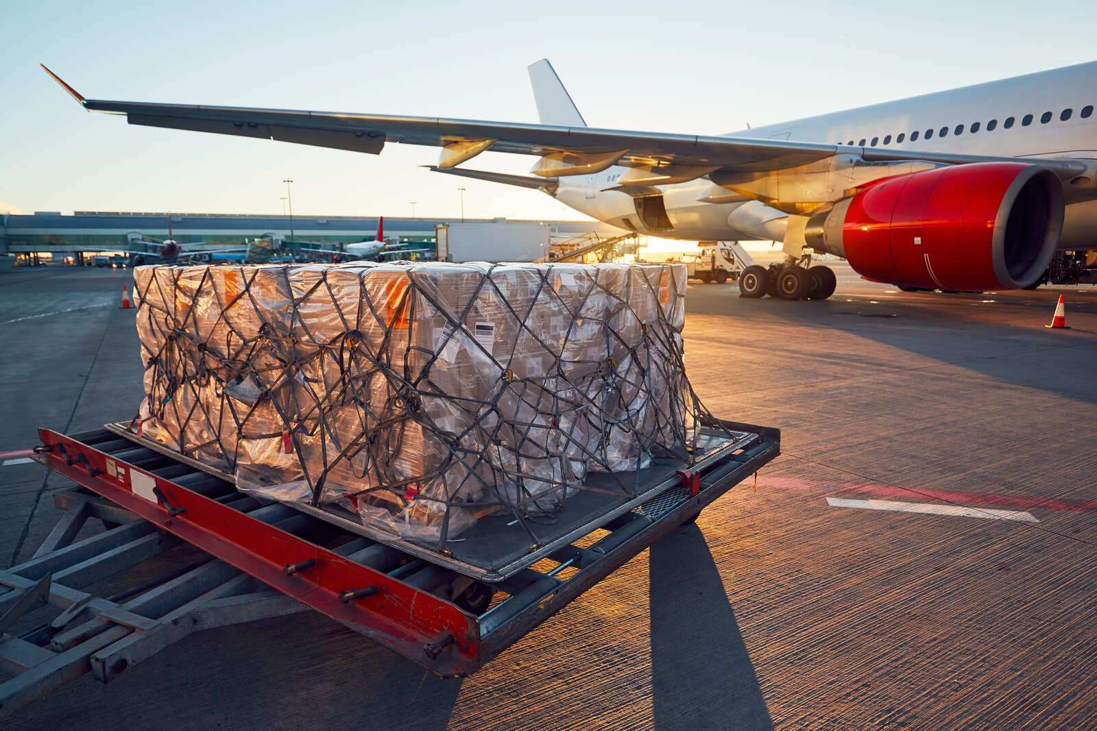 IATA: Küresel hava kargo talebi temmuzda yüzde 3,9 arttı