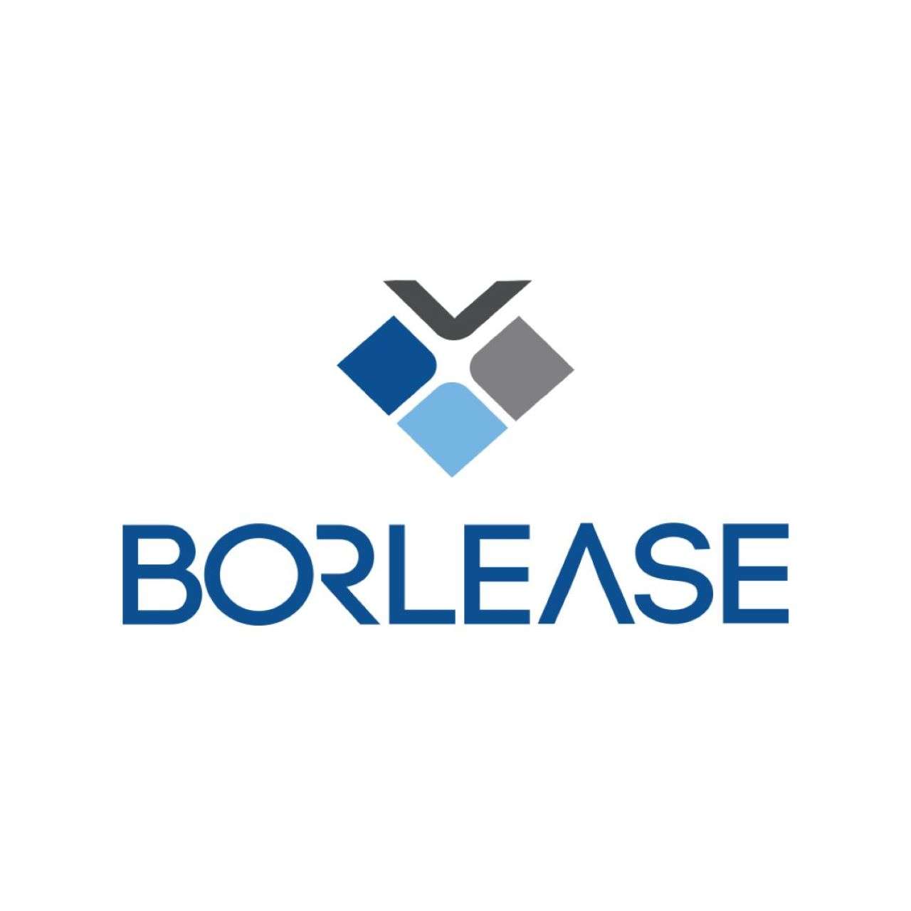 Hedef Portföy fonları Borlease paylarının neredeyse tamamını sattı