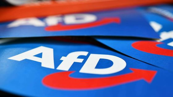 Almanya'da tarihi seçim: AfD Saksonya-Anhalt eyaletinde iktidarı hedefliyor