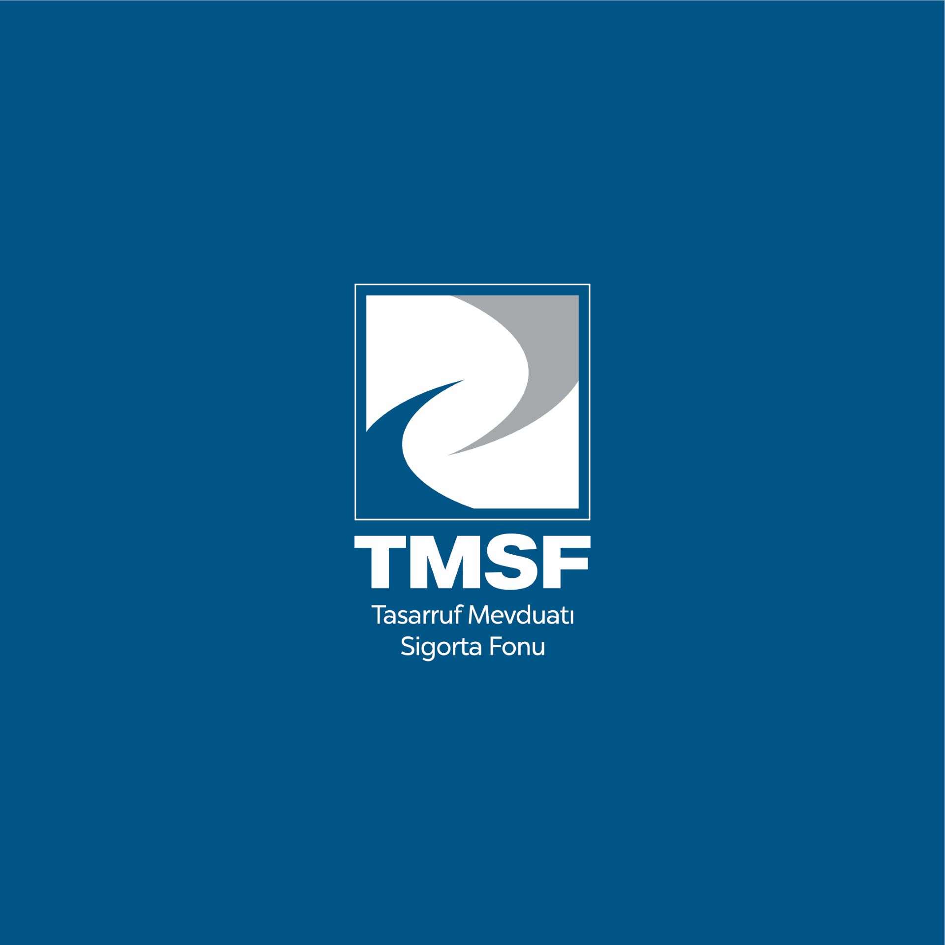 Destek Finans Faktoring'e TMSF kayyım olarak atandı: Yeni yönetim belirlendi
