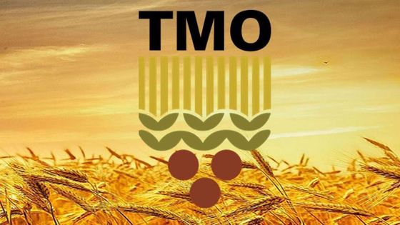 TMO'dan üreticilere 5,3 milyar liralık ürün bedeli ödemesi
